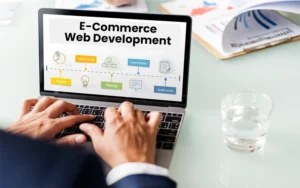 Ecommerce Website Development Company in India